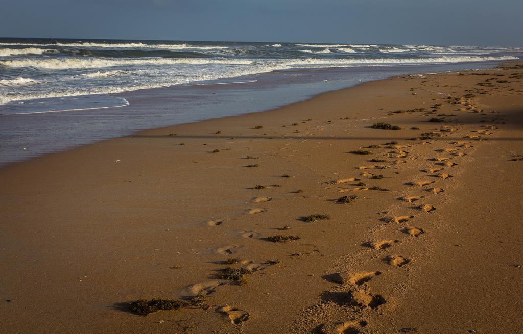 View The Ocean At Flagler Beach, Florida Экстерьер фото